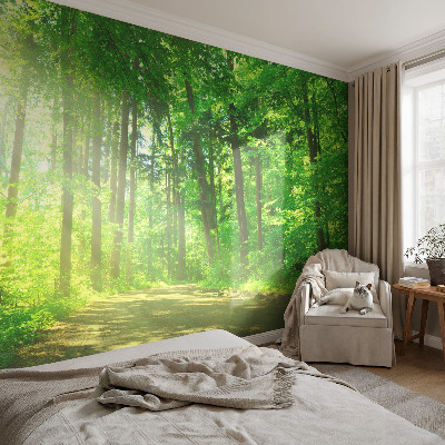 Papier peint chambre parentale Lesný chodník