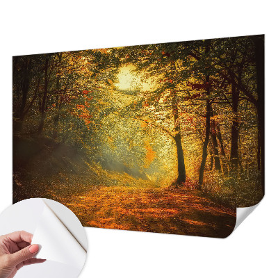 Papier peint tête de lit chambre adulte Jesenná krajina