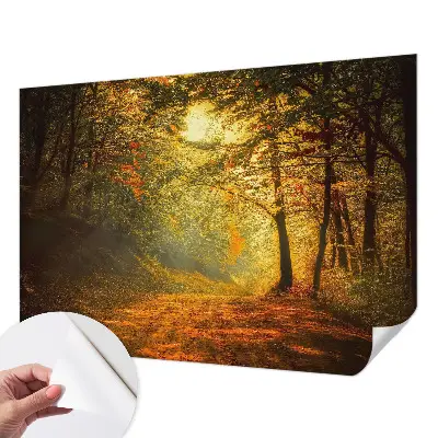 Papier peint intissé paysage d'automne