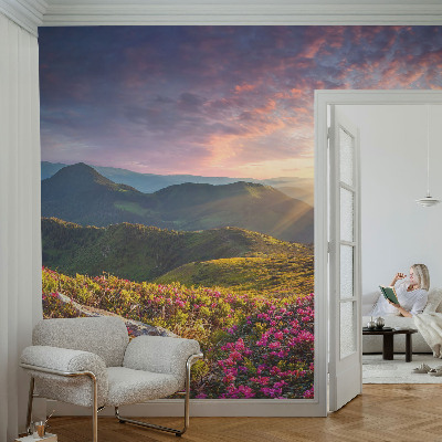 Papier peint chambre ado Horská panoráma