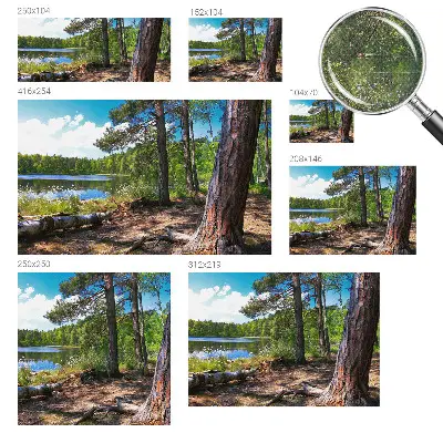 Papier peint photographique intissé paysage forestier