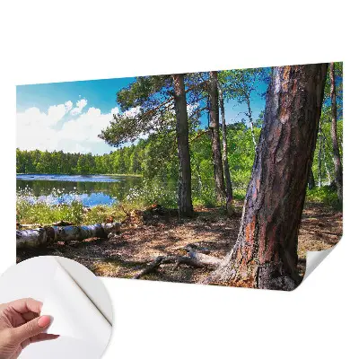Papier peint photographique intissé paysage forestier