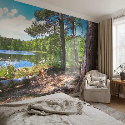 Papier peint photographique intissé paysage forestier