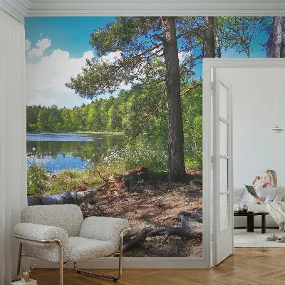 Papier peint photographique intissé paysage forestier