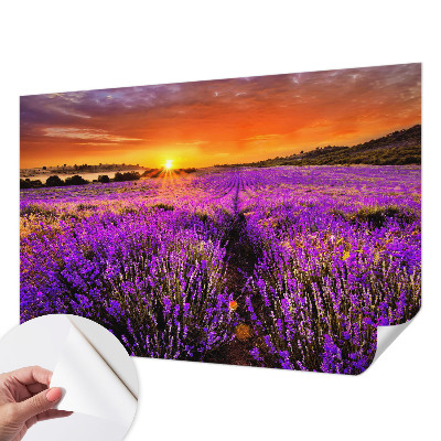 Papier peint photo autocollant Levanduľový západ slnka