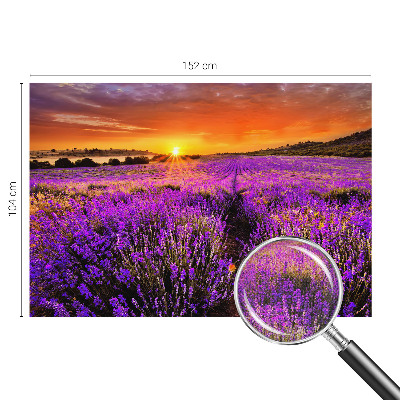 Papier peint photo autocollant Levanduľový západ slnka