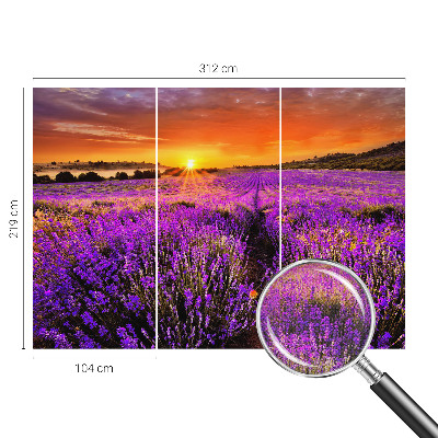 Papier peint photo autocollant Levanduľový západ slnka