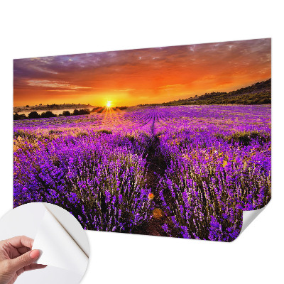 Papier peint photo autocollant Levanduľový západ slnka