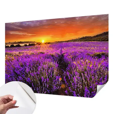 Papier peint photo sur tissu non tissé Coucher de soleil lavande