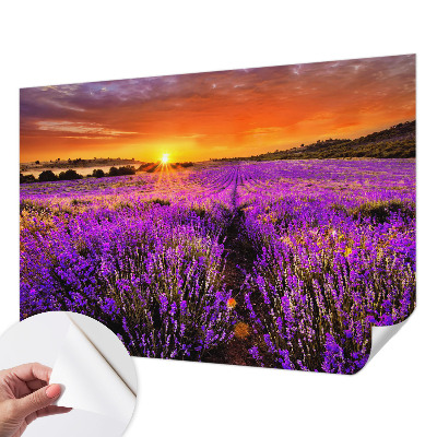 Papier peint photo autocollant Levanduľový západ slnka