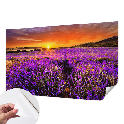 Papier peint photo autocollant Levanduľový západ slnka