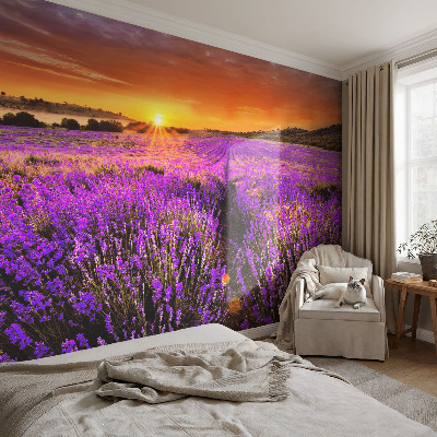 Papier peint photo autocollant Levanduľový západ slnka