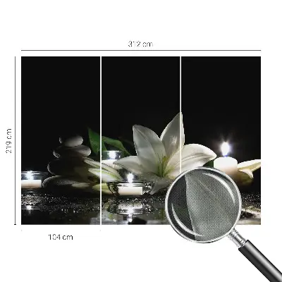 Papier peint photo grand format pour le mur Scène relaxante