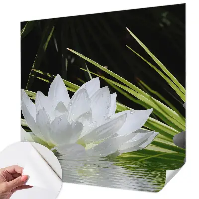 Papier peint photo grand format pour le mur Méditation du lys