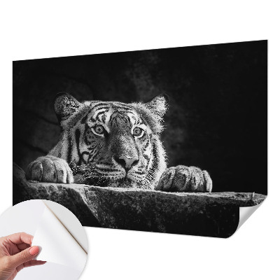 Papier peint photo autocollant Dravý pohľad