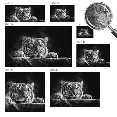 Papier peint photo autocollant Dravý pohľad