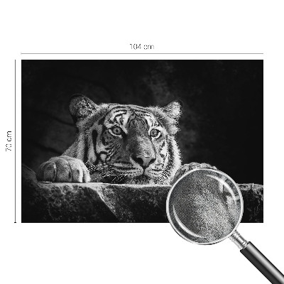 Papier peint photo autocollant Dravý pohľad