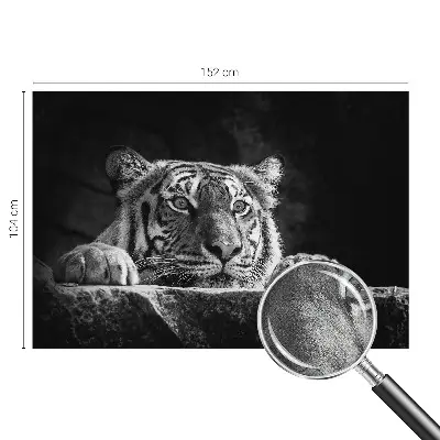 Papier peint photo sur tissu non tissé Regard prédateur
