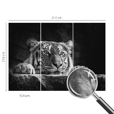 Papier peint photo autocollant Dravý pohľad