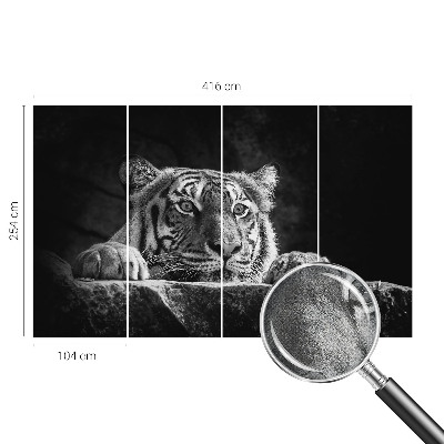 Papier peint photo autocollant Dravý pohľad