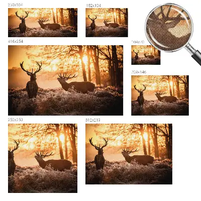 Papier peint photographique sur tissu non tissé Cerfs le matin