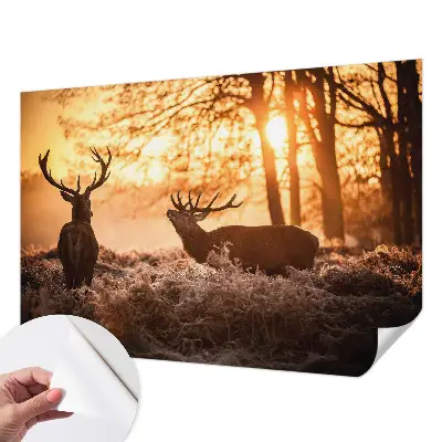 Papier peint photographique sur tissu non tissé Cerfs le matin