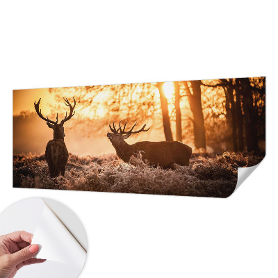 Papier peint chambre ado Jeleň ráno