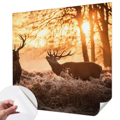 Papier peint photographique sur tissu non tissé Cerfs le matin