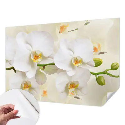 Papier peint intissé richesse florale