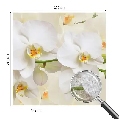 Papier peint intissé richesse florale