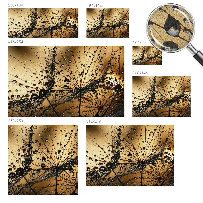 Papier peint photo grand format pour le mur Gouttes délicates