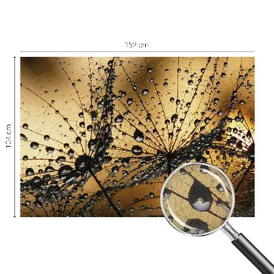 Papier peint photo grand format pour le mur Gouttes délicates
