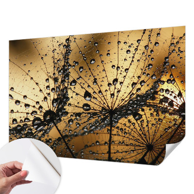 Papier peint panoramique adhésif Jemné kvapky