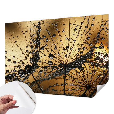 Papier peint panoramique adhésif Jemné kvapky