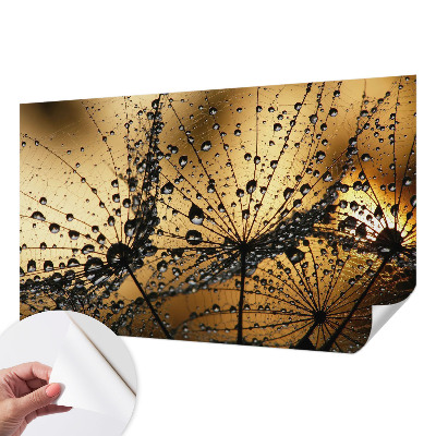Papier peint panoramique adhésif Jemné kvapky