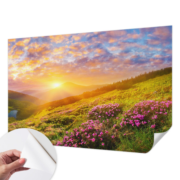 Papier peint tête de lit chambre adulte Horský západ