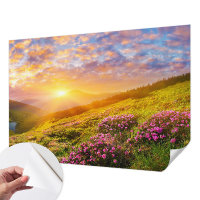 Papier peint tête de lit chambre adulte Horský západ