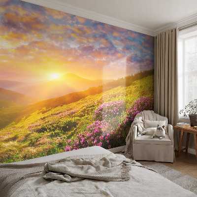 Papier peint tête de lit chambre adulte Horský západ