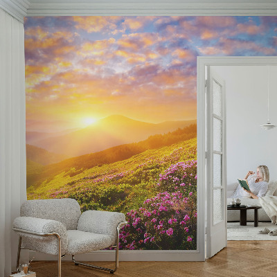 Papier peint tête de lit chambre adulte Horský západ