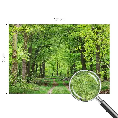 Papier peint photo grand format pour le mur Chemin forestier