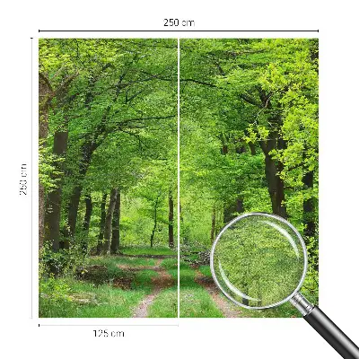 Papier peint photo grand format pour le mur Chemin forestier