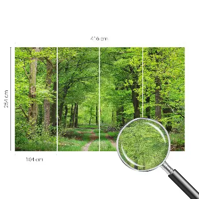 Papier peint photo grand format pour le mur Chemin forestier