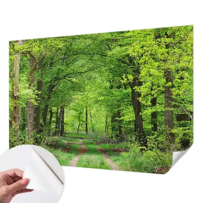Papier peint photo grand format pour le mur Chemin forestier
