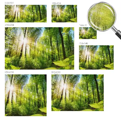 Papier peint photo sur tissu non tissé Lumière de forêt