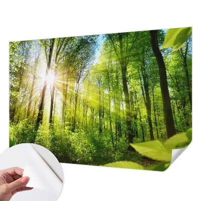 Papier peint photo sur tissu non tissé Lumière de forêt