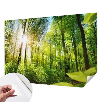 Papier peint photo sur tissu non tissé Lumière de forêt