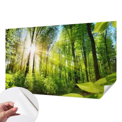 Papier peint photo sur tissu non tissé Lumière de forêt