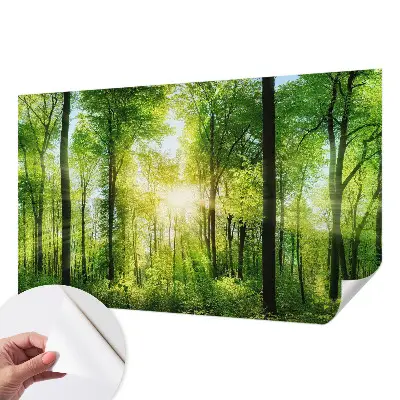 Papier peint intissé Harmonie forestière