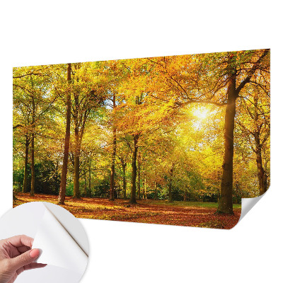 Papier peint photo autocollant Zlaté listy