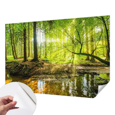 Papier peint photo imprimé sur tissu non tissé paysage vert